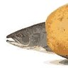 Unpotatoed_Salmon_01