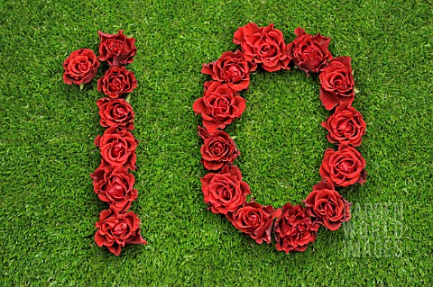 CNL102063_NUMBER_10_IN_RED_ROSES.jpg